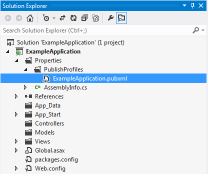 Visual Studio Solution Explorer